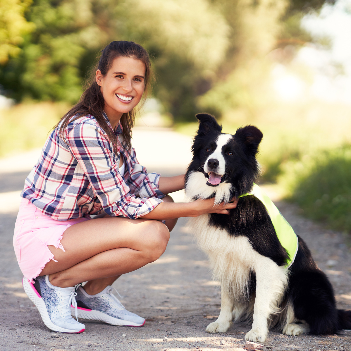 border-collie-follows-me
