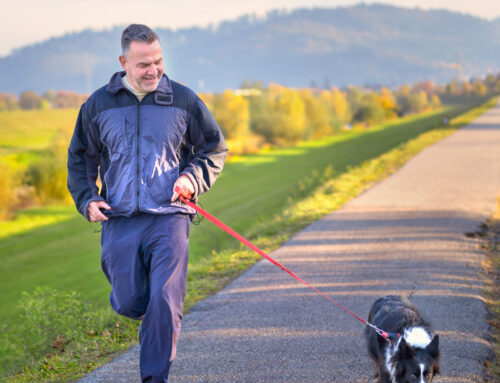 How To Run With Your Dog